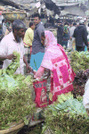 Bagging Purchased Produce